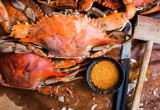 10 Best Places for Crab in Maryland!