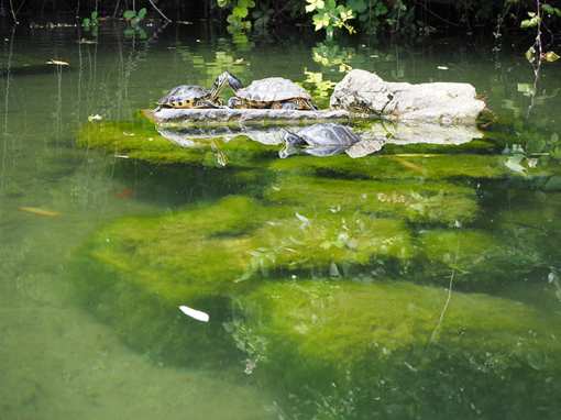 10 Best Nature Centers in Maryland!